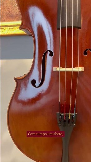 There Are Only 3 Cellos Like This