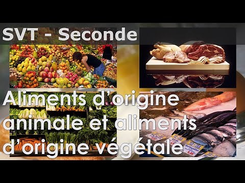 SVT - Seconde - Aliments d'origine animale et Aliments d'origine végétale