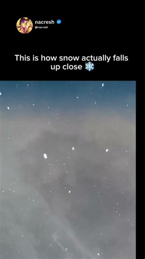 Snowfall Like You've Never Seen ❄️""The Beauty of Falling Snow""Winter's Silent Magic ❄️✨"
