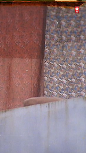 😄 | Comedy Stars Malayalam Comedy Show