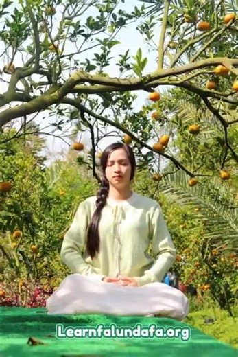 La méditation (le cinquième exercice) du Falun Dafa https://www.falundafa.org/ | Falun Gong - Une résistance pacifique