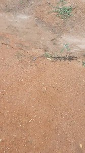 393K views · 3.2K reactions | #Duekoue # Après le passage de la pluie☔️.pour tout ceux qui pensent que quand t'ont finit d'enterrer un parent c'est fini que Dieu vous donnent la bonne compréhension. Amine 爐 | Makadi Karim | Facebook