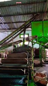 #tea making process🌿#how tea is really made?😄#assamtea🏞️| traditional tea making process 🔥#leaftocup