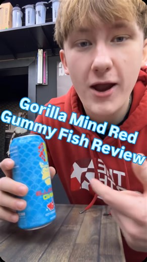 Stacked Nutrition on Instagram: "Today we have our very first smelllll review along with a flavor review from Stacked’s own Aaron “Too Turnt” Tutinski 💥 We’re checking out the new Gorilla Mind Red Gummy Fish energy drink! Whats inside? 15 Calories 2 Carbs 0 sugar 1000 mg N-Acetyl-L-Tyrosine 400 mg Alpha-GPC 50% 200 mg Caffeine 200 mg Uridine Monophosphate 100 mg L-Theanine 15 mg Saffron Extract 200 mcg Huperzine A 5 essential vitamins in their biologically active formats. #stackednutritionandsu