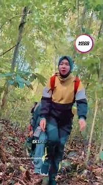 Eksplorasi Keanekaragaman Hayati Sambas: Flora Endemik Rafflesia hasseltii di Ketinggian 400 MDPL