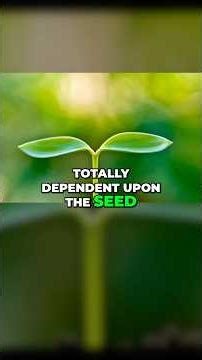 Bad Seed Costs You Early #regenerativeagriculture #planthealth #soilhealth #seeds