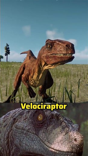 velociraptor In jurrasic park evolution 2 #jurrasicworldevolution #raptordino
