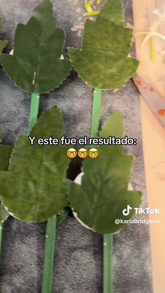 Corsages y Azares Perfectos para una Boda en la Playa