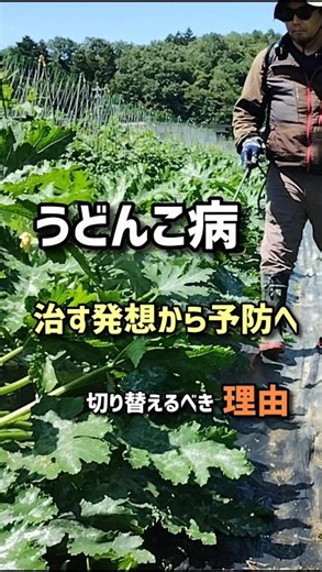 Why You Should Shift from Treating Powdery Mildew to Preventing It