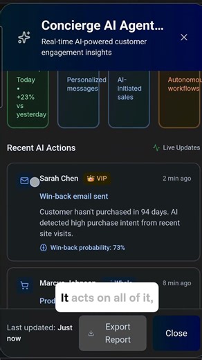 Customer Intelligence - SusTern