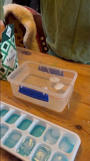 The salt and ice experiment! The salt is dissolving in the water separating chloride & sodium ions.