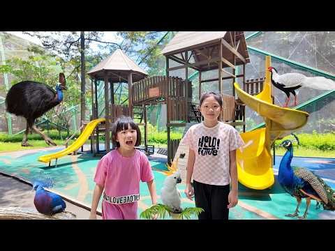 Main Playground dan Ke Taman Burung Ketemu Burung Kasuari, Merak, Kakatua TMII