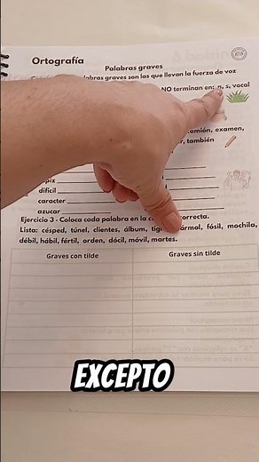 Words stressed on the penultimate syllable: spelling rules and examples | Primary Spanish