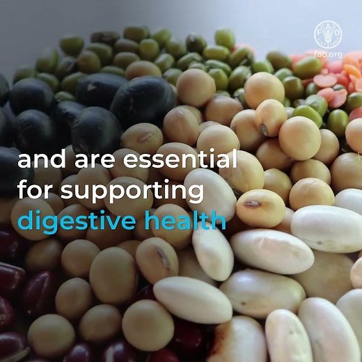 Pulses: Your Best Source of Dietary Fibre