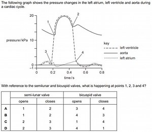 The following graph shows the pressure changes in the left atri... | Filo