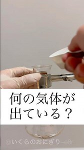 今日の実験！！＃実験 #science #いくらのおにぎり＃おうち時間＃自由研究＃簡単＃化学＃簡単レシピ#experiment#chemistry#shorts #おすすめ#バズれ#のびろ#小学生