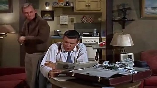 That Darn Cat! 1965