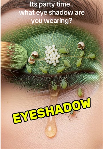 Eye Shadow Choices for Your Next Party