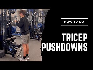 Tricep Pushdowns (Exercise Library)