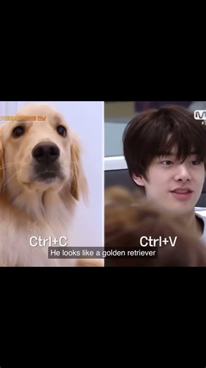 🤍Enhypen7🤍 on Instagram: "Cuties with dogs🤍🐶 @enhypen #engene #enhypen #fyp"