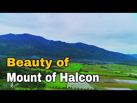 the beauty of Mount Halcon Baco Oriental Mindoro/@mindorayontv