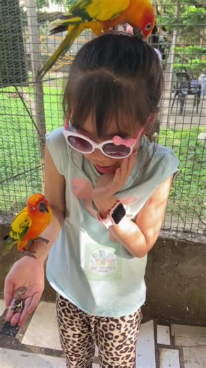 Thanks, Althea and Alexis of Canada. | open daily from 7AM to 8:30AM | DENR CWR No. R4A-CWR-2017-CAV-046