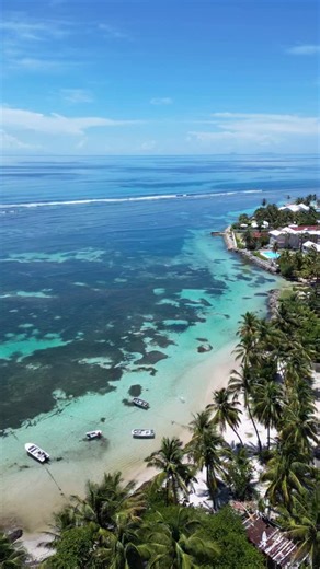 La sublime plage du bourg de Sainte-Anne 😍🌴☀️ D’ailleurs Love Guadeloupe vous recommande pour y séjourner régulièrement Les Palmes Guadeloupe , une villa de charme comprenant 2 chambres, 2 sdb, baignée dans son écrin de verdure tropical, et surtout à 5mn des plages paradisiaques de sable blanc et eau turquoise…. N’hésitez pas à vous abonner à leur page vous y retrouverez tous les renseignements pour réserver, ou sur leur page internet : https://lespalmesguadeloupe.com/ bon sejour 😘 | Love Gua