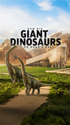 166K views · 2K reactions | If dinosaurs were so big, how did they fit on Noah’s ark? Some dinosaurs were taller than the ark itself, so how could Noah have brought them all aboard? There is an explanation! | Ark Encounter | Facebook