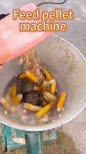 Automatic Feed Pellet Making Machine Animal Feed Equipment#animalfeed #farmequipment #livestockfeed