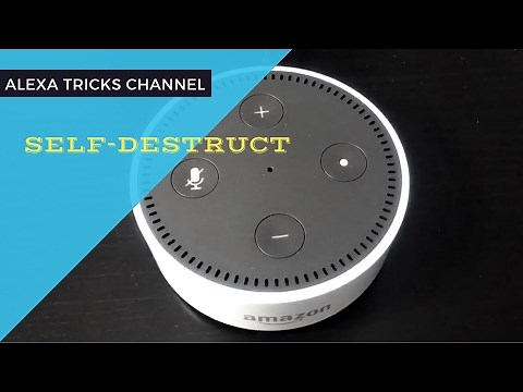 LOL! What Happen When Asking Alexa To Self-Destruct