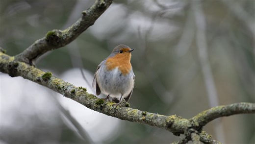 Simple Edits to Make Flat Photos Pop With Color and Contrast | Fstoppers