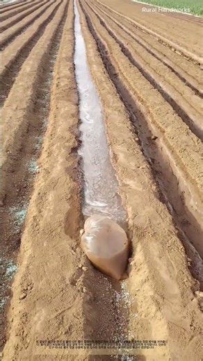 물주머니 관개 : 비닐봉지 하나로 고랑 물속도 조절하는 방법