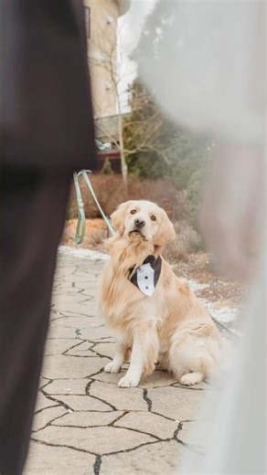 The Lakehouse Wedding in Halifax, Massachusetts photographed by Sarah Murray Photography