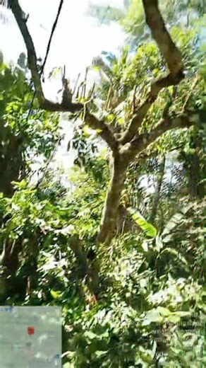 Apeh Surapeh on Reels