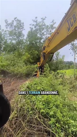 Incroyable découverte #jardinage #jardin #nature #arbre