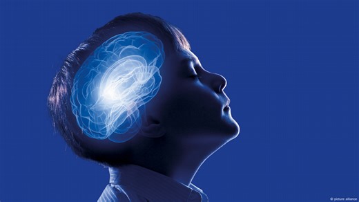 The Mysteries of the Brain