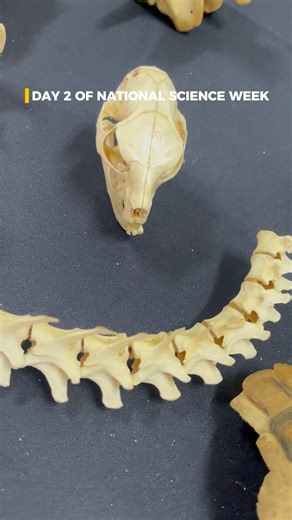 National Science Week 2025 in Lusikisiki - Day 2 | Nelson Mandela University