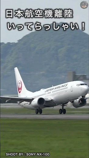 松山空港を飛び立つ日本航空機！ボーイング７３７－８００が力強く大空へと飛び立ちます！ #松山空港 #日本航空 #ボーイング737-800 #離陸 #タービン音 #myj