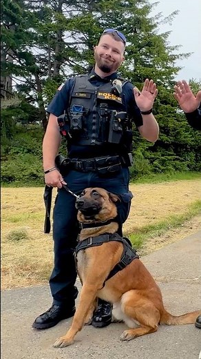 Police K9 follows complex commands!