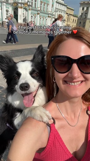 Anastasiia Beaumont | Founder of Dog Dance Mania on Instagram: "Let’s look at two situations. First one. You decide to teach a new trick. You show your dog “how it should be done,” repeat it several times, and your dog just looks at you — either doesn’t do anything or does something completely different. You start getting nervous, your dog does too. The training ends in frustration and the thought: “Maybe he’s just not capable of this.” Second one. You go into training without the expectation th