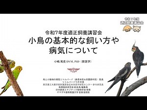 小鳥の基本的な飼い方や病気について（令和７年度適正飼養講習会）