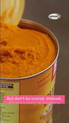 Does canned pumpkin actually contain pumpkin? Consumer Reports investigates