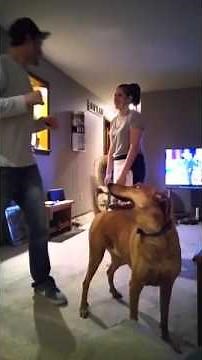 Dirk Getting Choked Out By A Girl!!!!