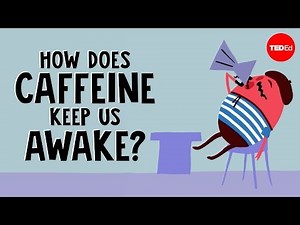 Caffeine Metabolism