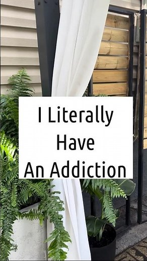 UNBELIEVABLY EASY PRIVACY SCREENS #diy #patioideas #smallbackyardsolutions #backyardideas