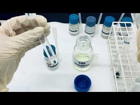 Experiment 10- Amino acids and proteins - Ninhydrin test