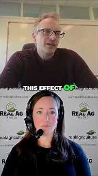 Sorghum-Sudangrass: Unexpected Soil Health Benefits Revealed #shorts