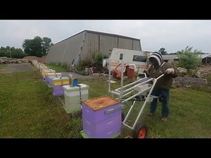 2024 installing Apivar Strips and using my hive lifter.