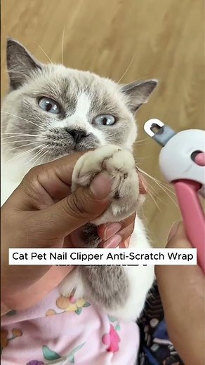 No More Bites: The Easiest Way to Trim Your Cat’s Nails!