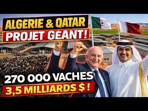 Algeria & Qatar: $3.5 Billion! The World's Largest Dairy Farm in Adrar 🇩🇿🇶🇦